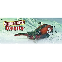 MOLIX   SUPERNATO BEETLE